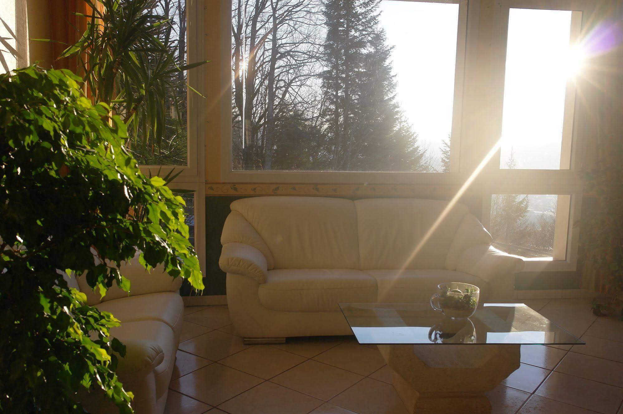 Hostellerie Saint Clement Vic-sur-Cère Exteriér fotografie