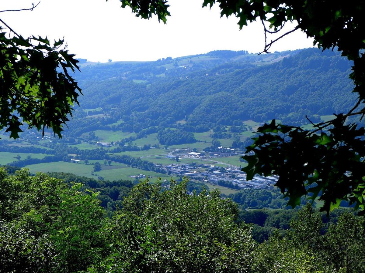Hostellerie Saint Clement Vic-sur-Cère Exteriér fotografie